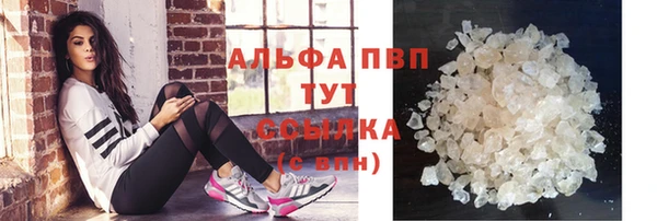 PSILOCYBIN Пересвет