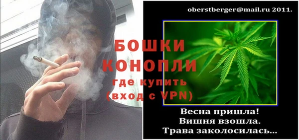 шишки Арсеньев