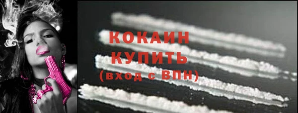 шишки Арсеньев