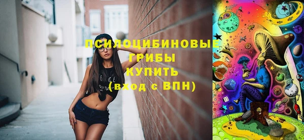 PSILOCYBIN Армянск