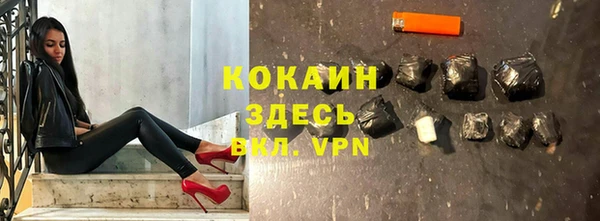 шишки Арсеньев